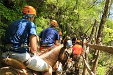 Excursion de tirolesa, paseo en mula desde Puerto Vallarta