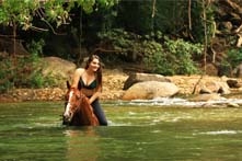 Excursion a Caballo en las montañas de Puerto Vallarta