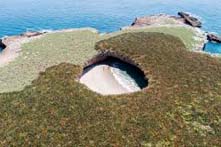 Excursion a islas marietas desde Puerto Vallarta