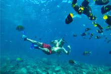 Excursion a islas marietas desde Puerto Vallarta