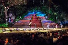 Rhythms of the night Puerto Vallarta